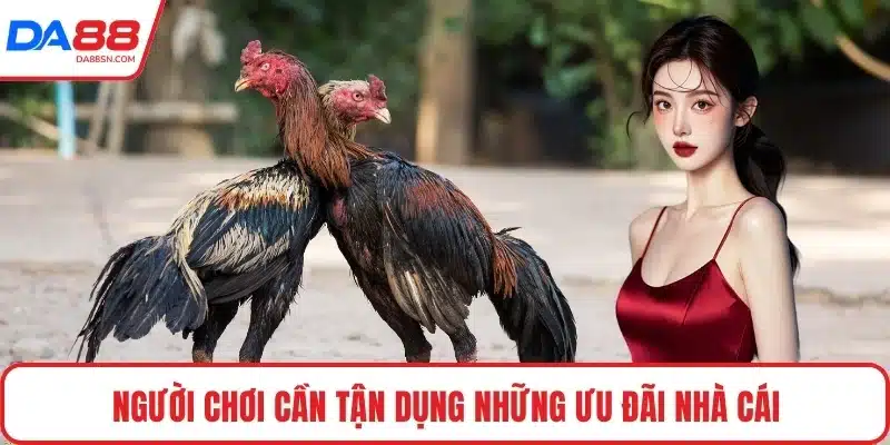 Người chơi cần tận dụng những ưu đãi nhà cái