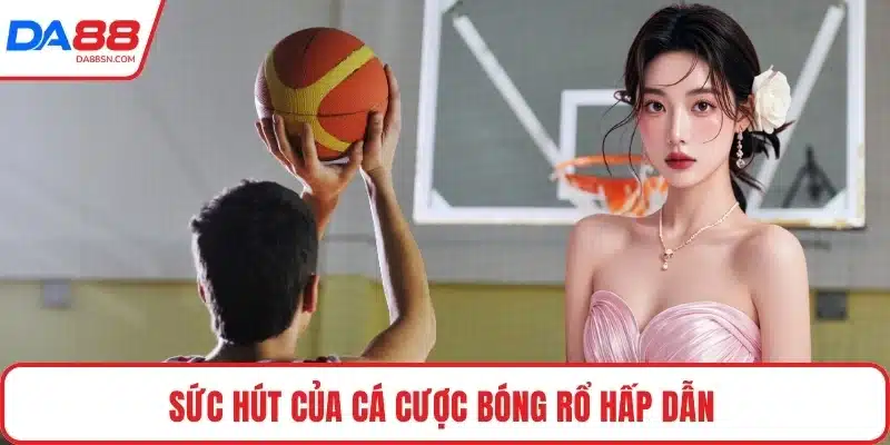 Sức hút của cá cược bóng rổ hấp dẫn 