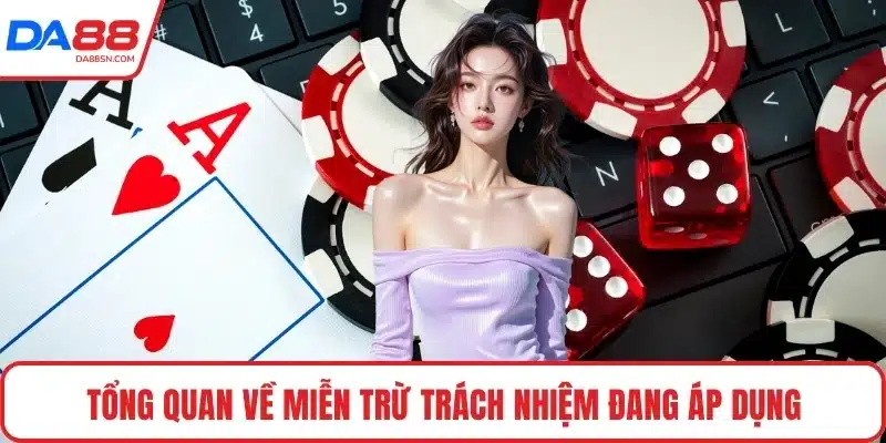 Tổng quan về miễn trừ trách nhiệm đang áp dụng